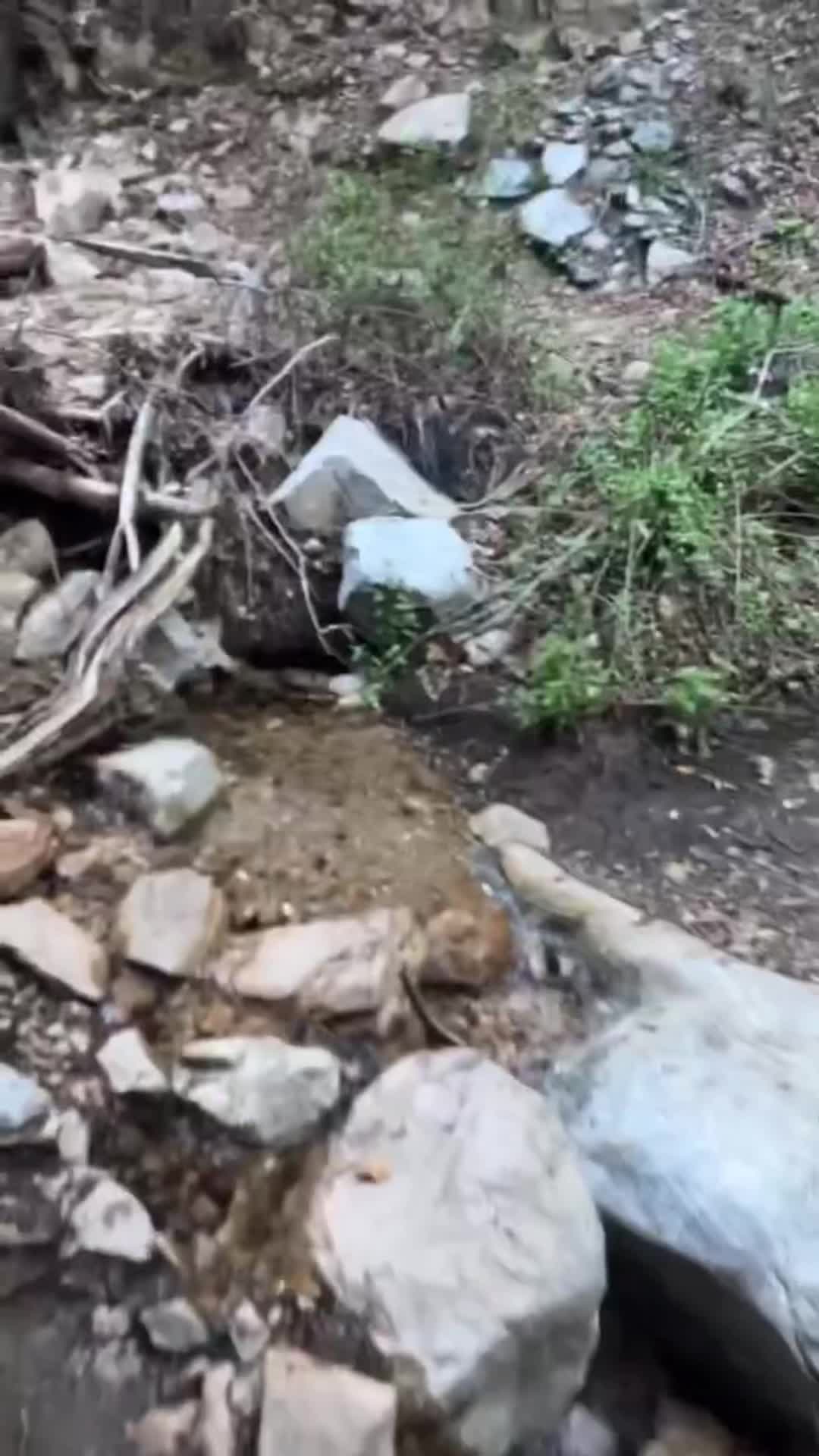 @Mr_hiking_dude
