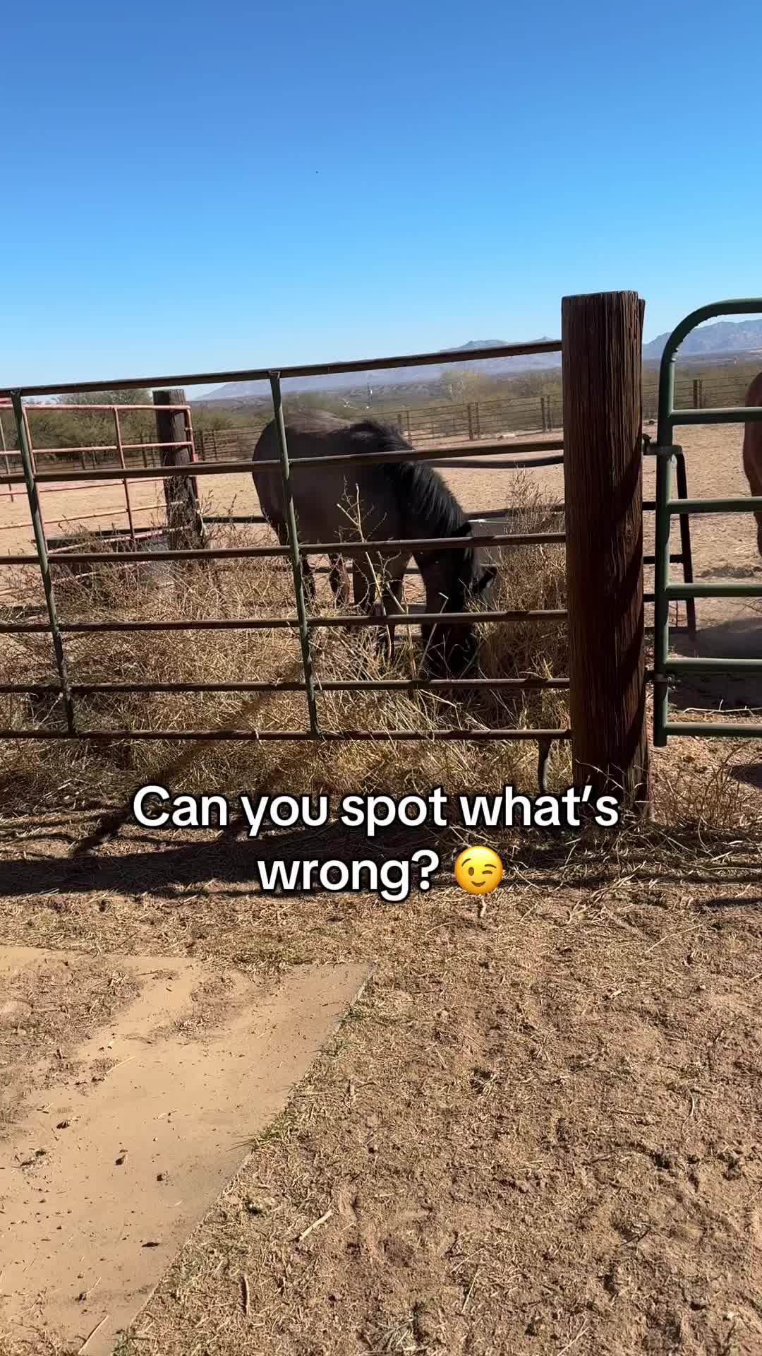 @Apache Powder Ranch