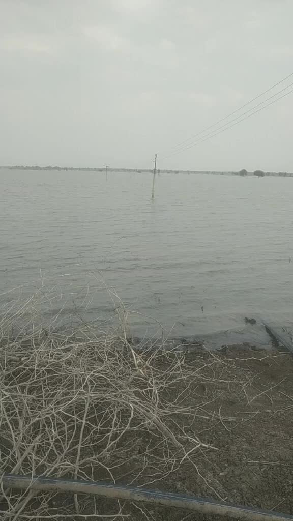 @sawantprasad59829017