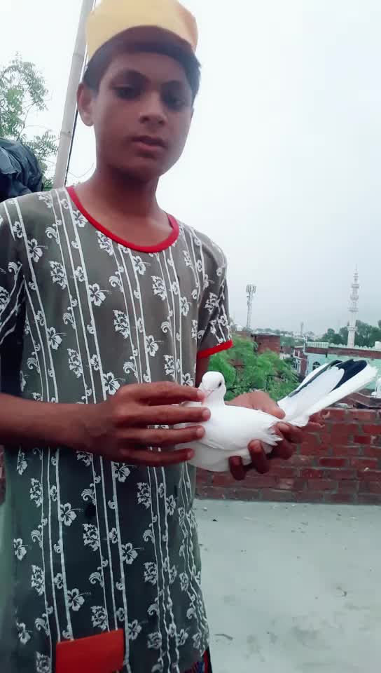 @Siraj Warsi