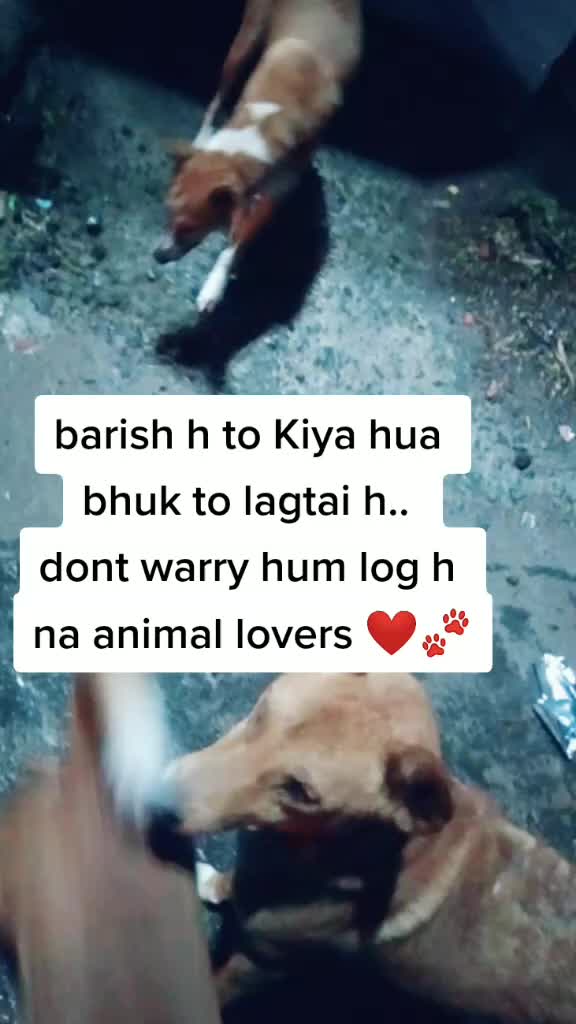 @Mahi Fouzder🐾😇