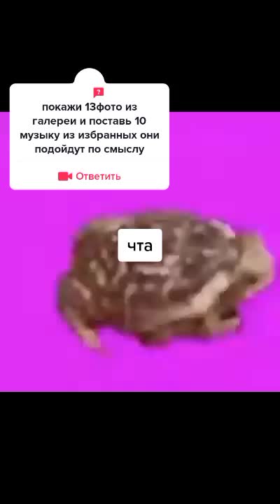 @карасёнок два два восемь
