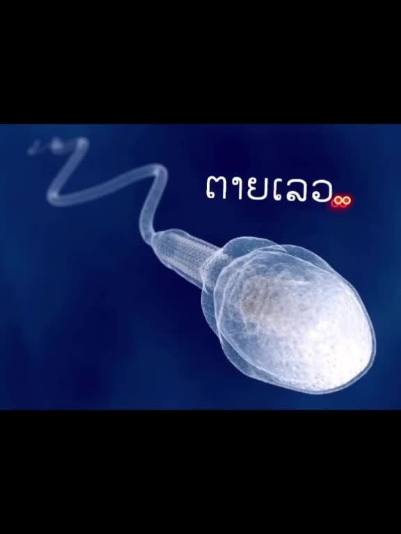 @Pter244