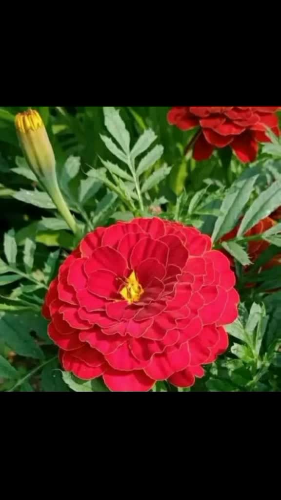 @user8969225726950