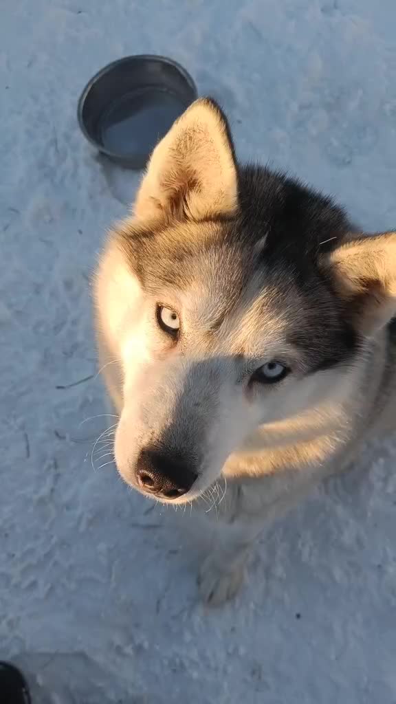 @Nakhodka