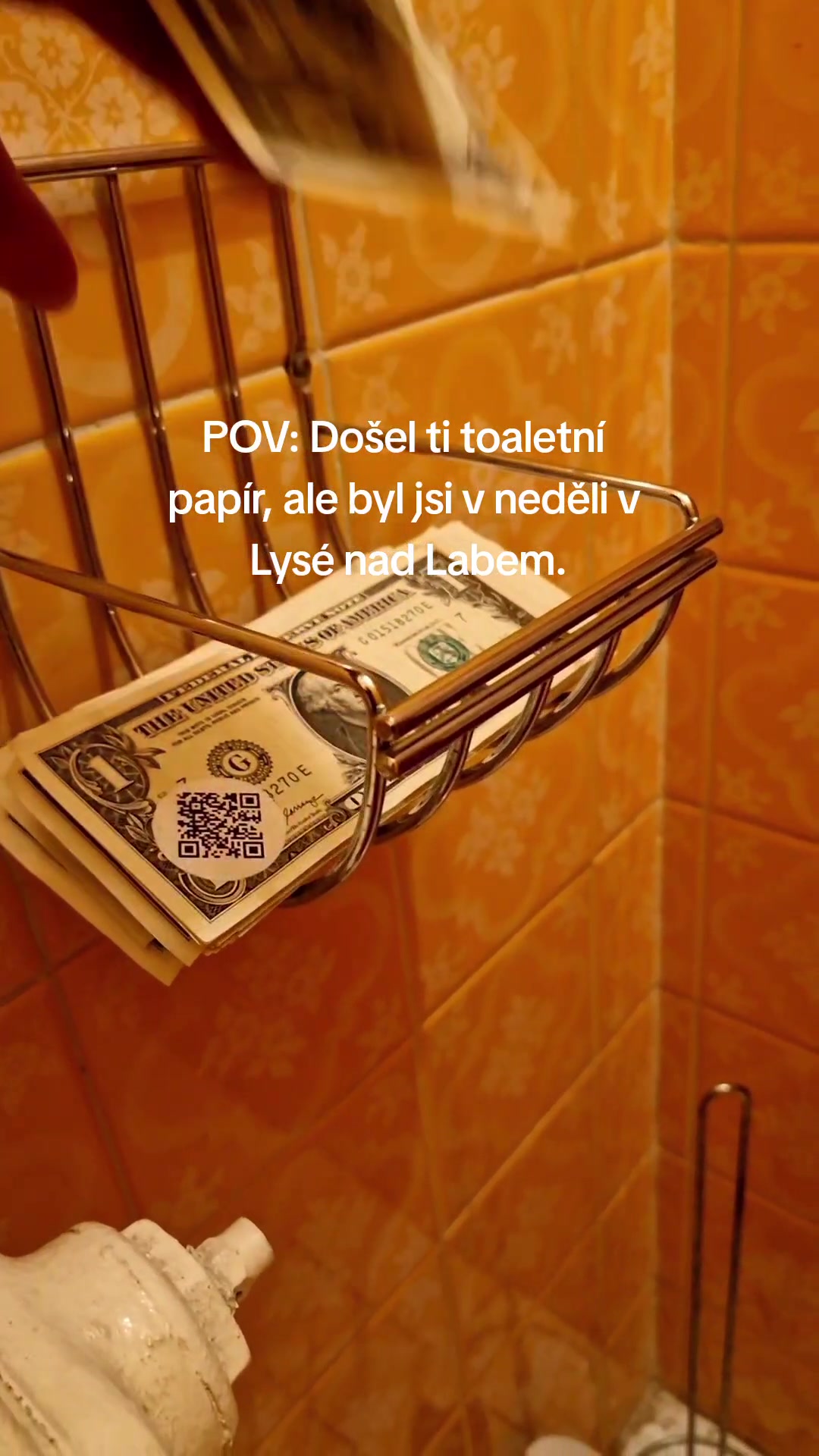 @DilnaProject