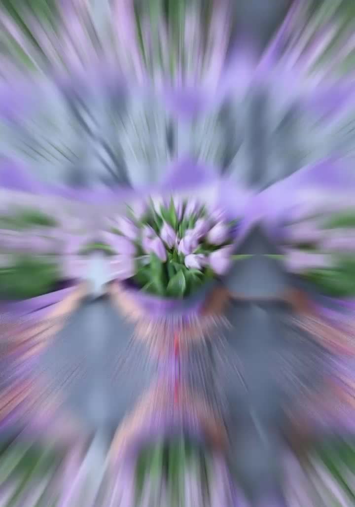 @ninareg55