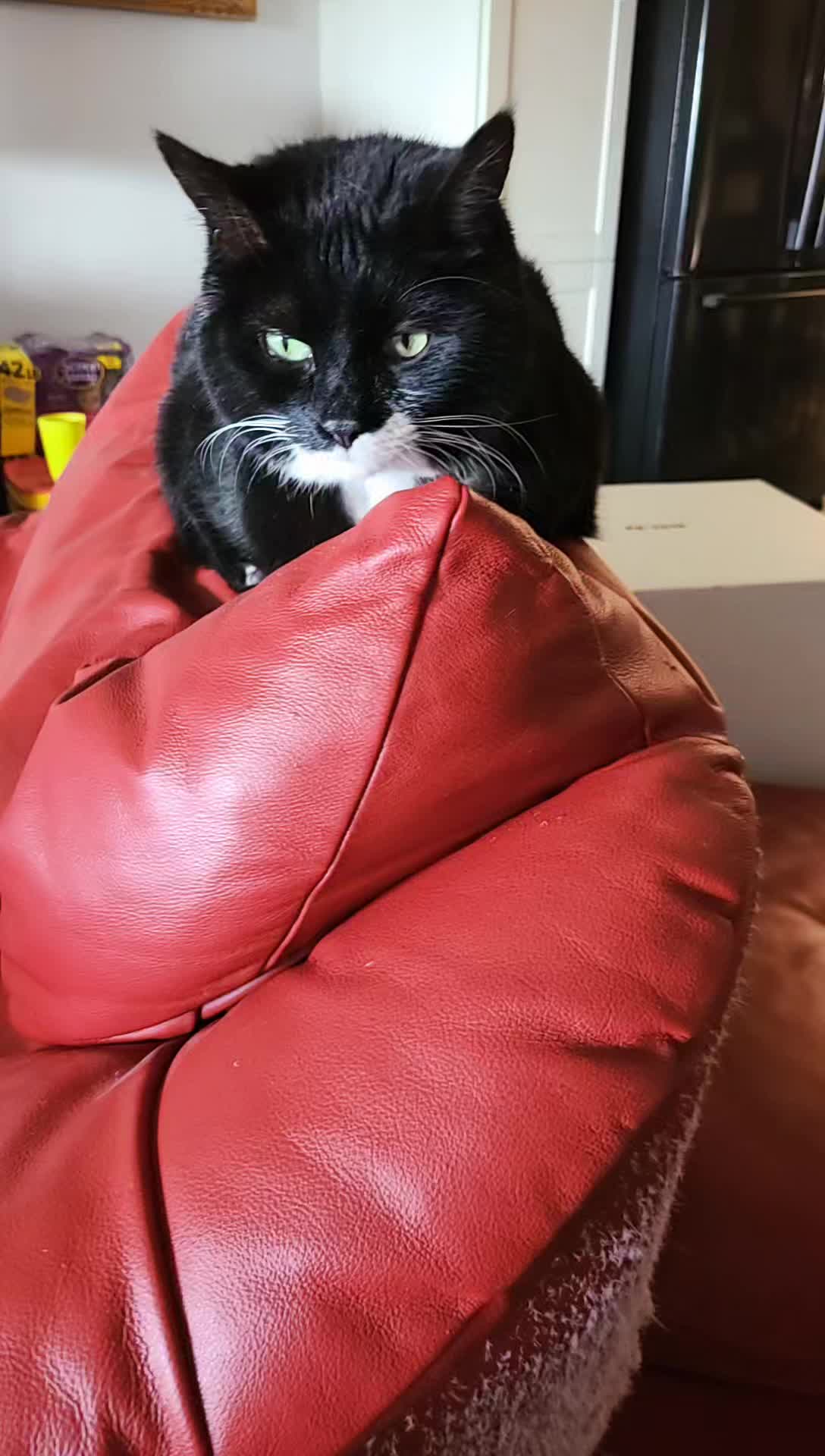 @MrPickles