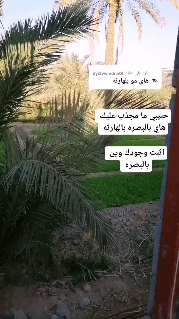 @Tik Toker