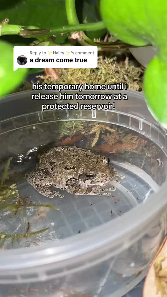 @faith𓆈🌱