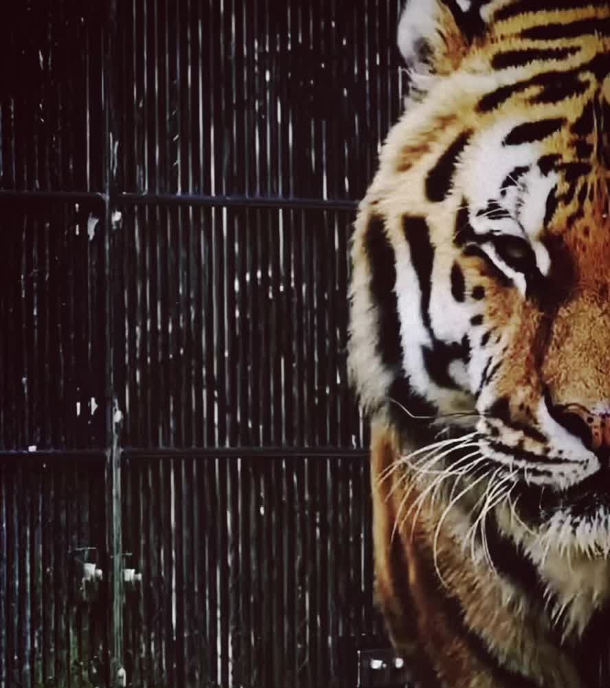 @mr_toor07