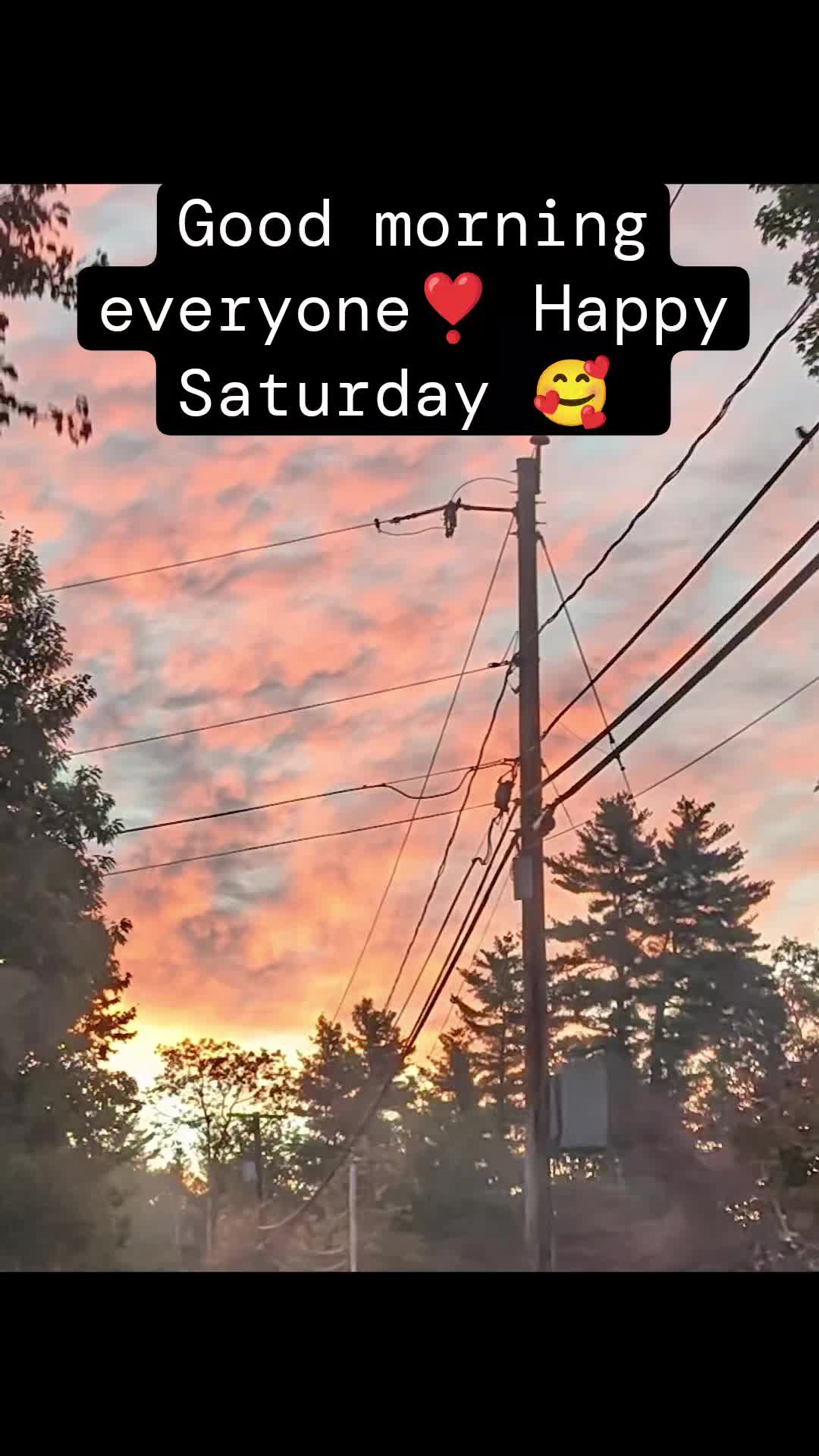 @Gi_1972