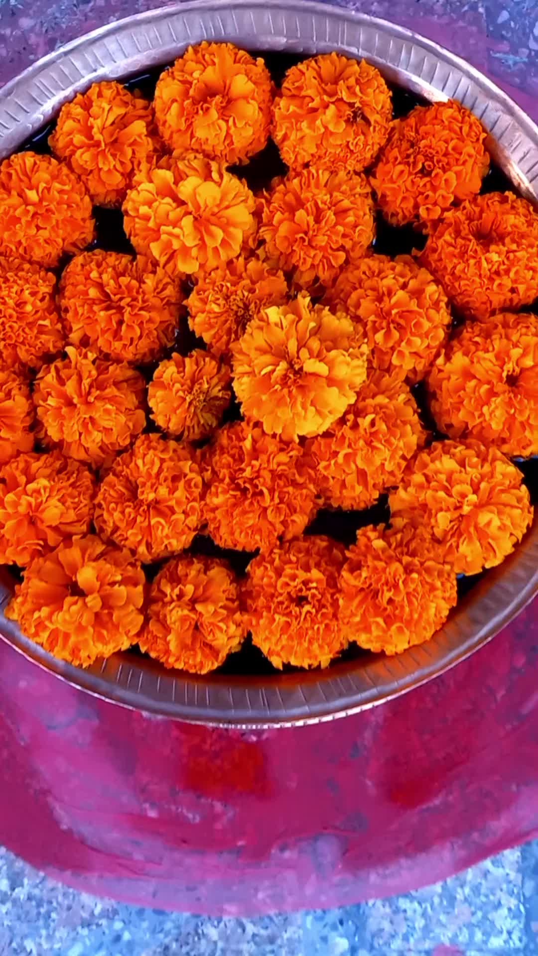 @Rupa Sunar🧿🕊️