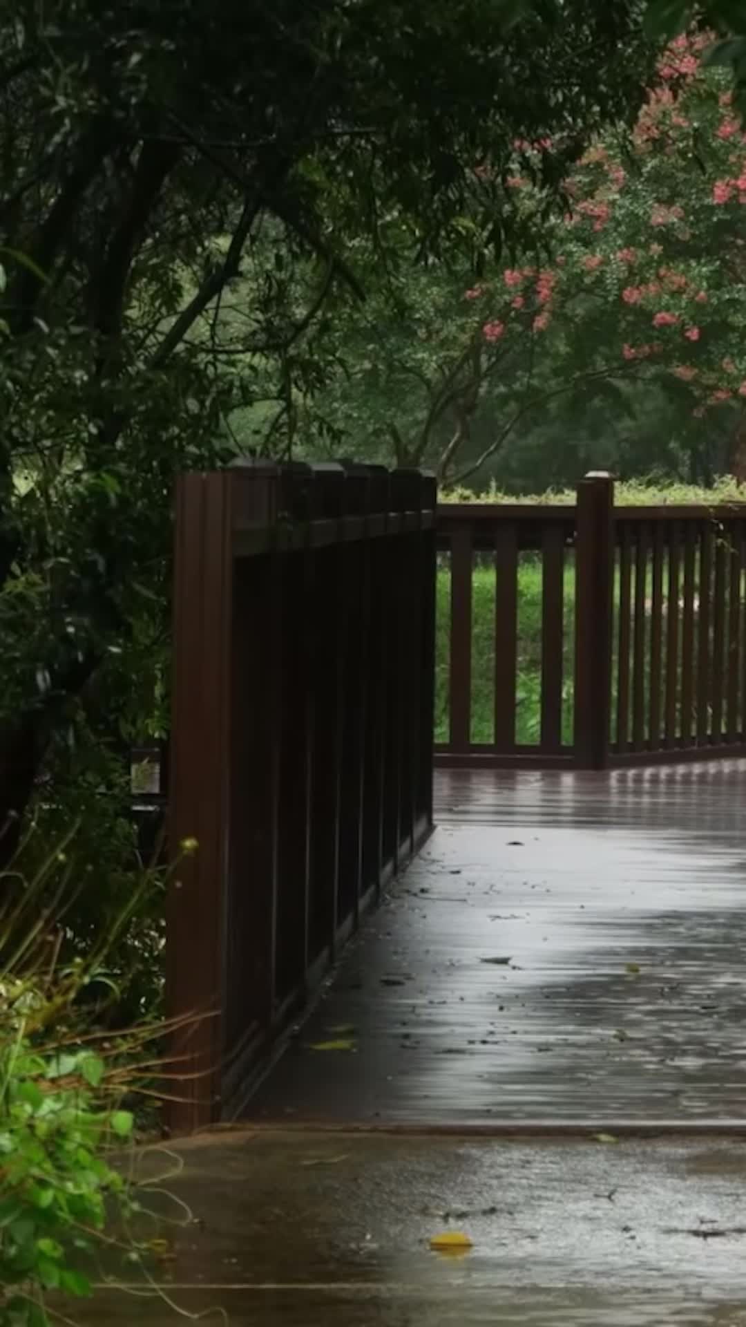@❤️