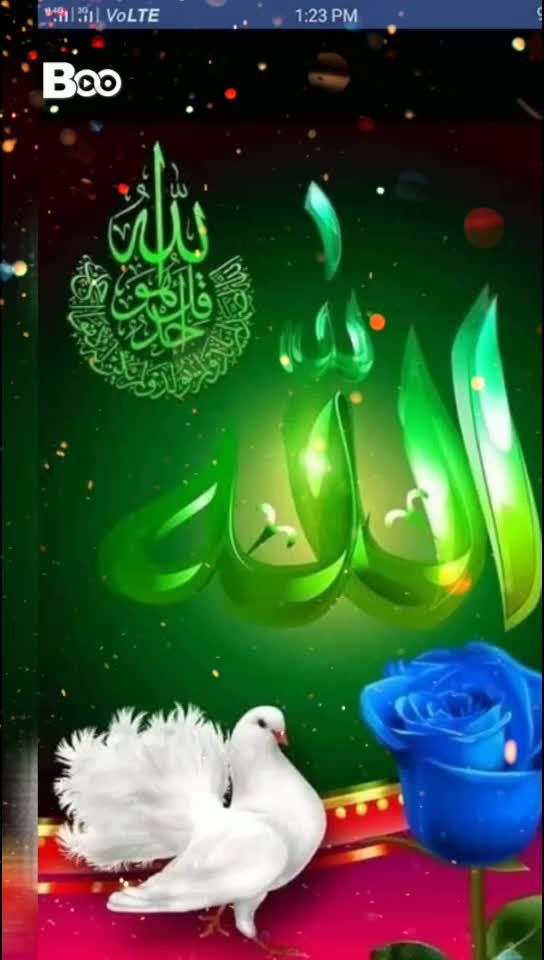 @Yasmeen Khwaja