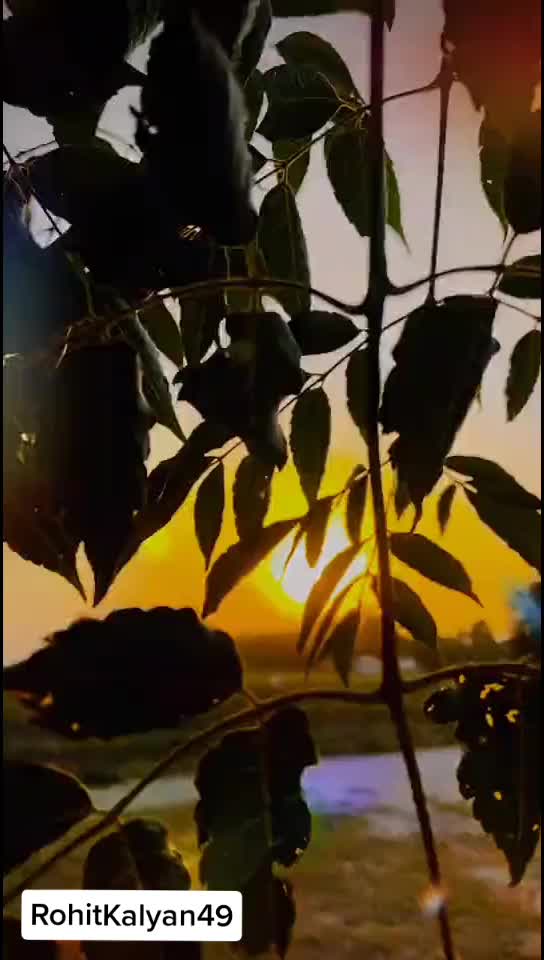 @Rohit Kalyan 49
