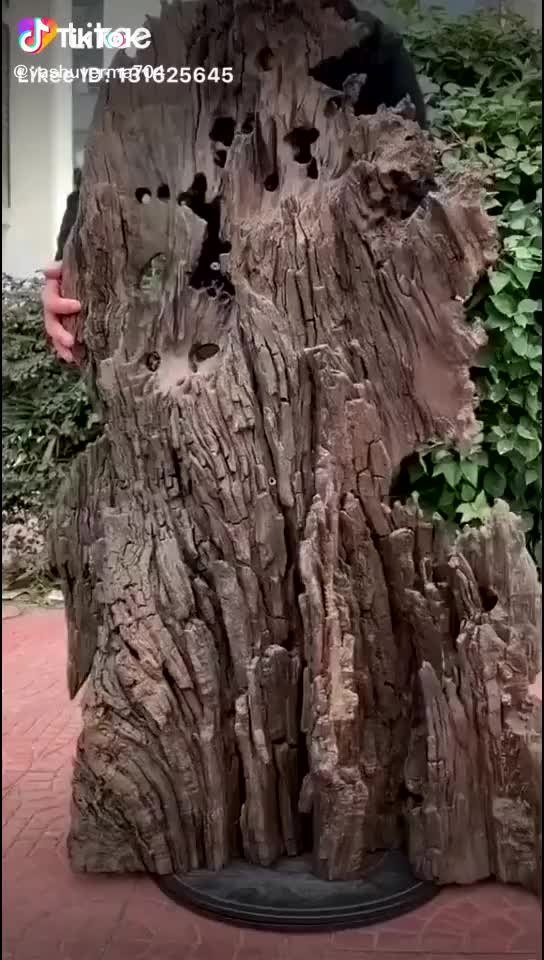 @Vadakkan
