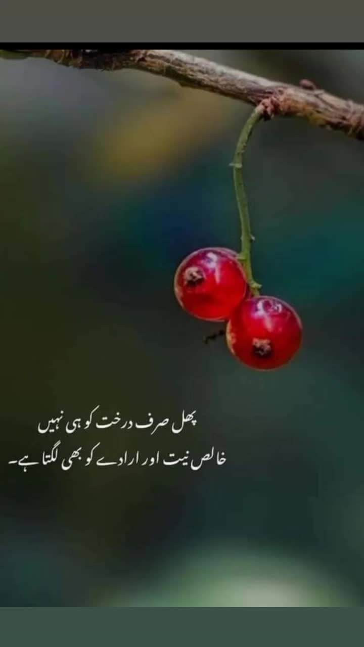 @viral tolk