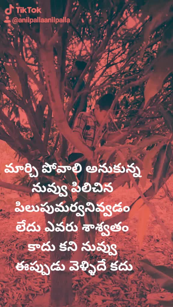 @Anilpalla-official