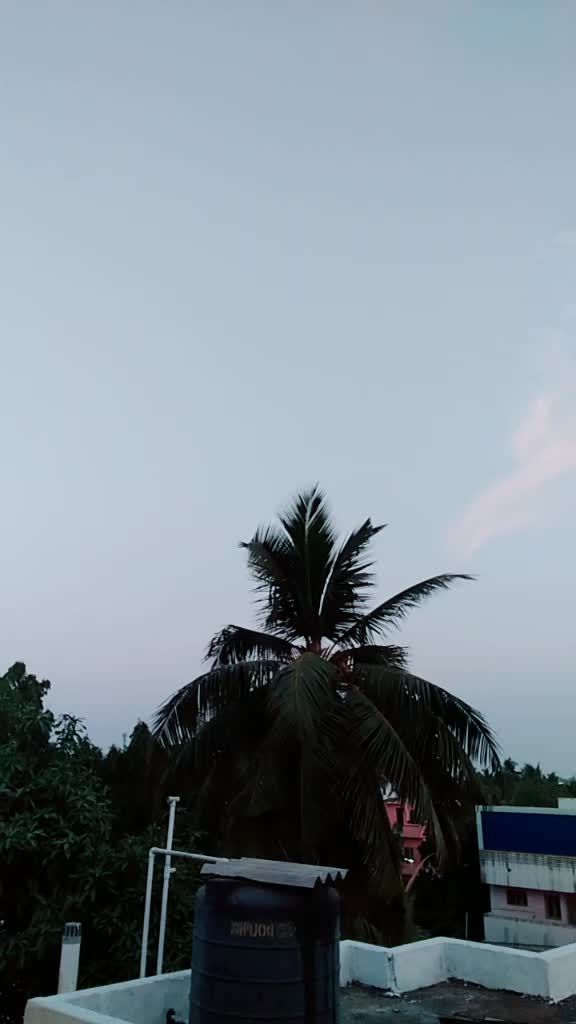 @badhri
