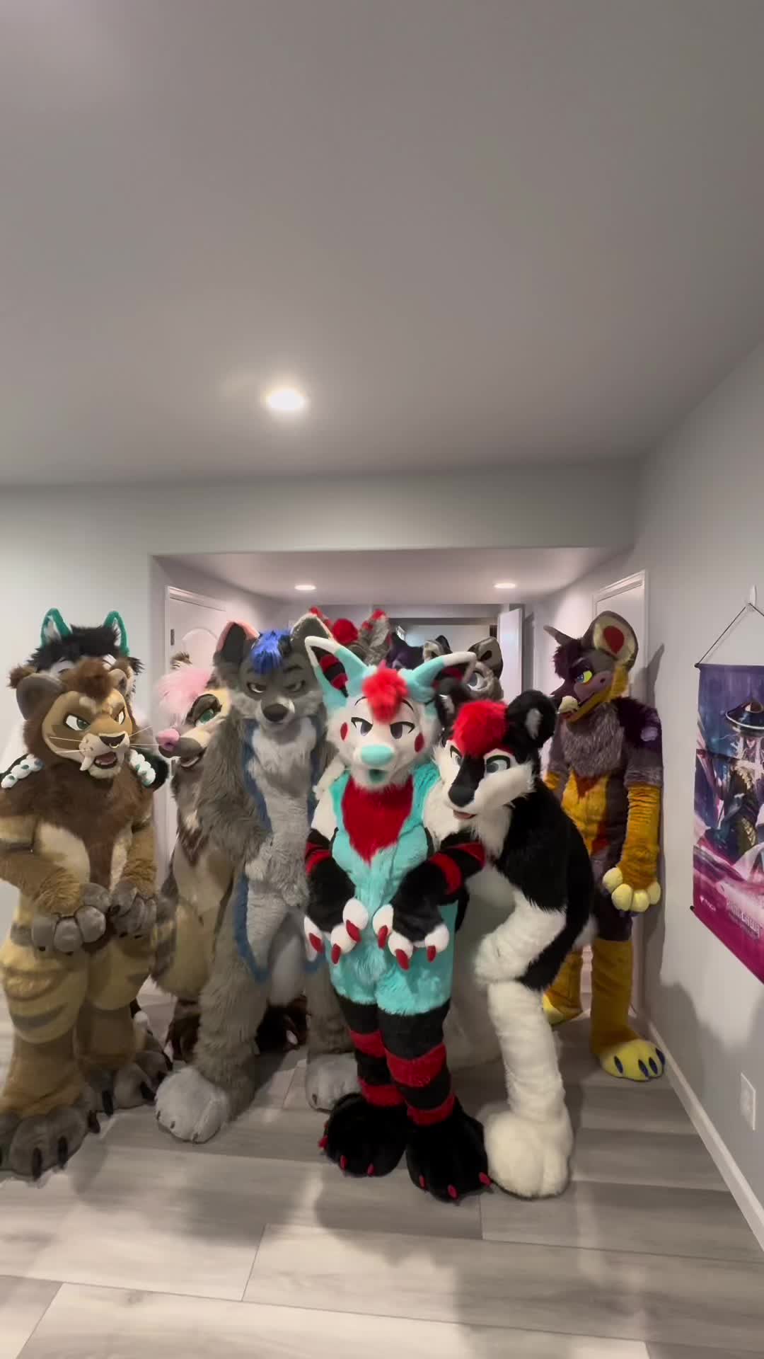 @DisjointWolfy