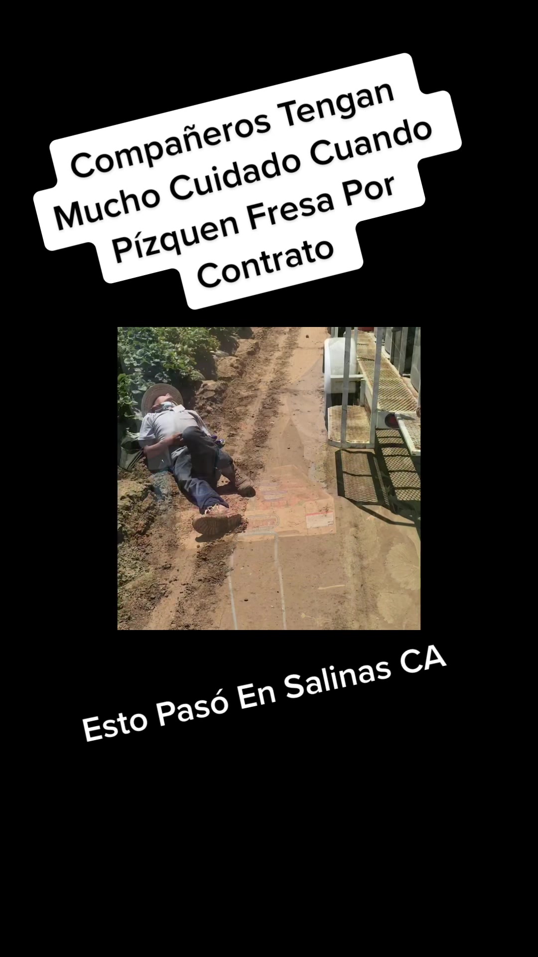 @elbuenavida58