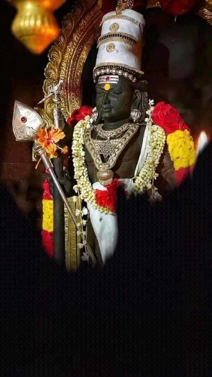 @mahi