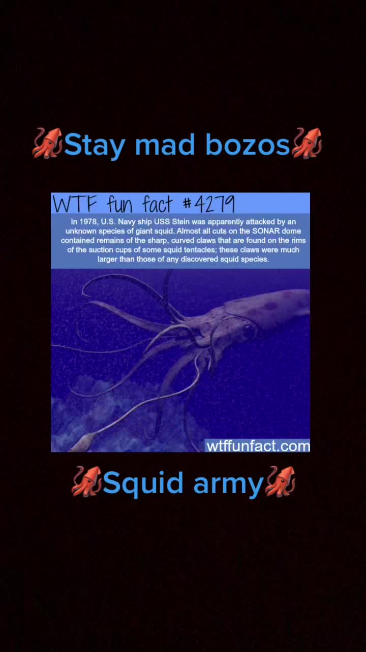 @cracked_reality