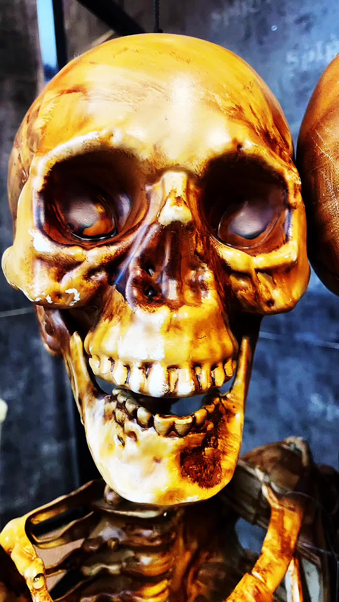 @CHERRY SNOTT /HAUNTER/ SFX/ART