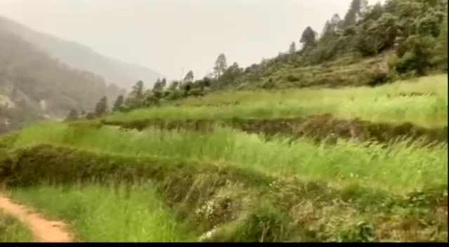 @पहाड़ी_ परवीन_07