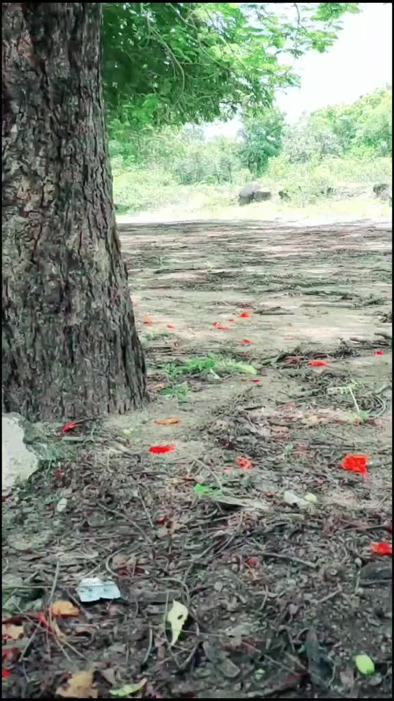 @ArvindSolanki005