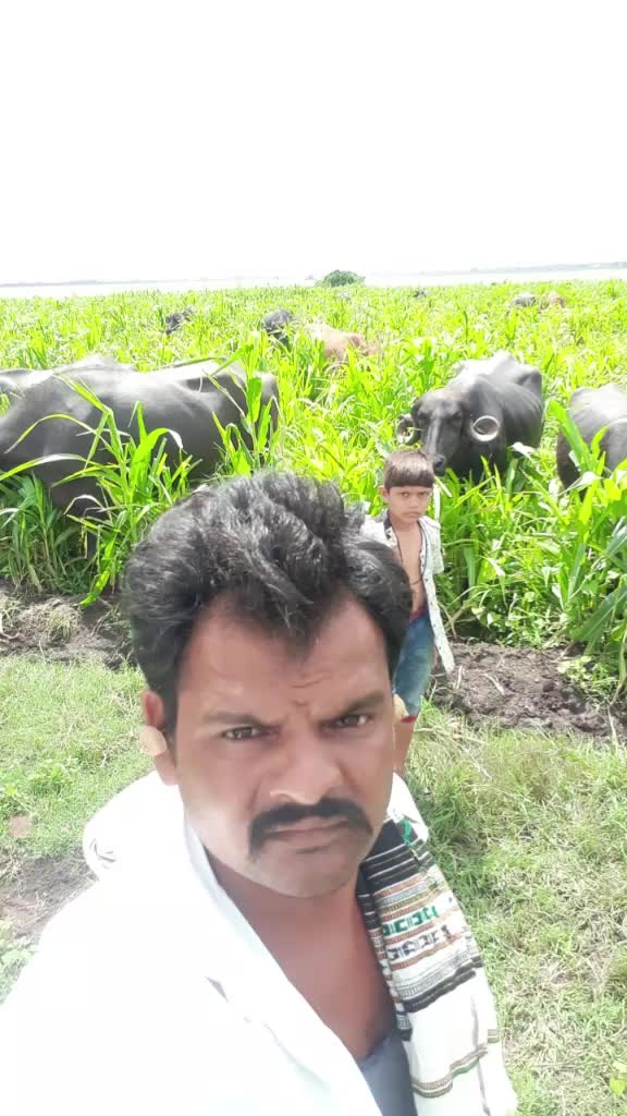 @દેપાલ ભાઇ વાલા