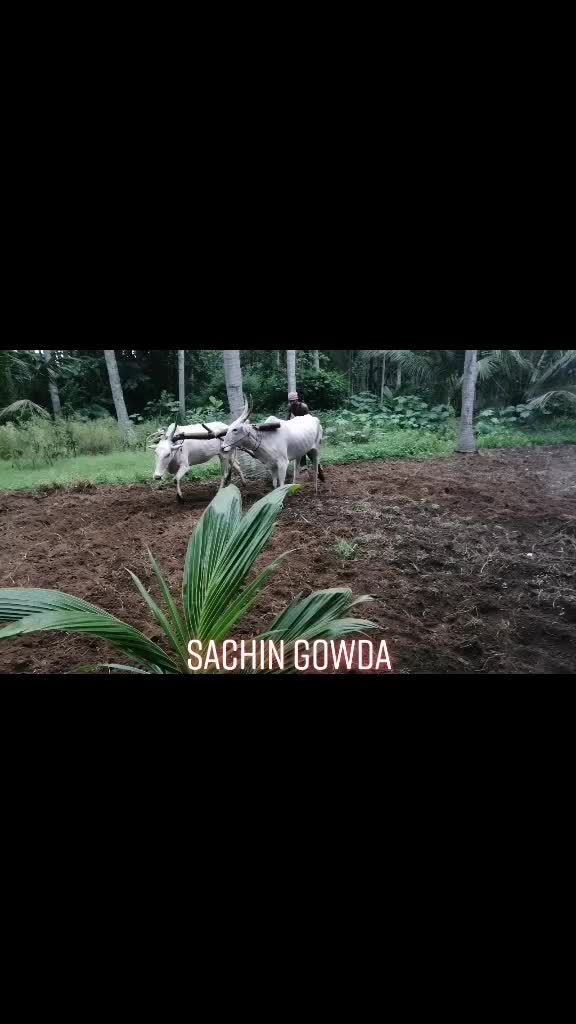 @🐂Sachin8453847757🐂