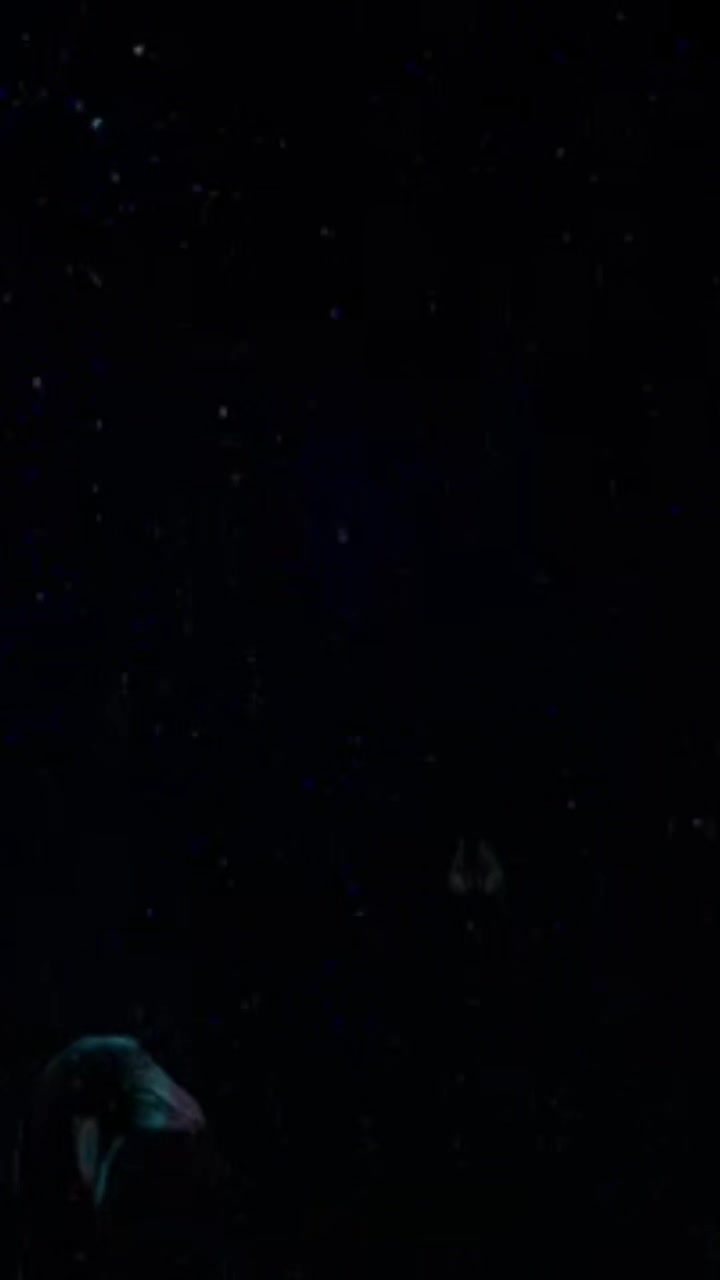 @scp-049