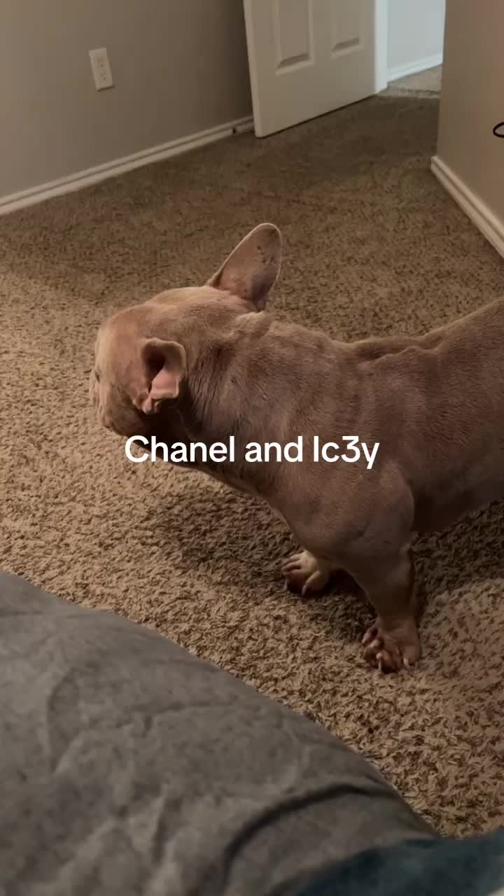 @pondsfreddy