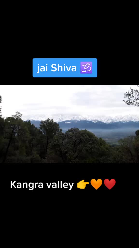 @❤️छोरु🦁पहाडी❤️