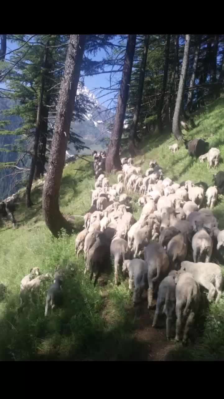 @A Kãy Lãlhãl