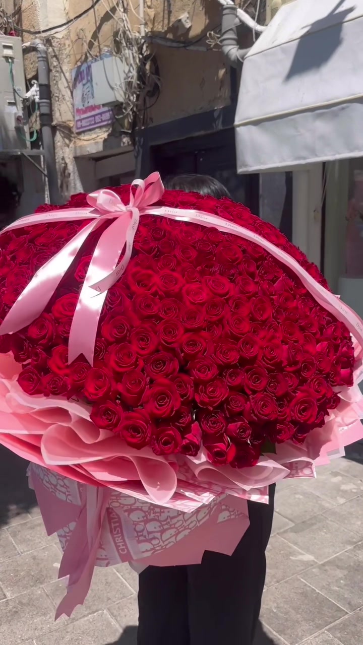 @Amit Marine Elmaliah