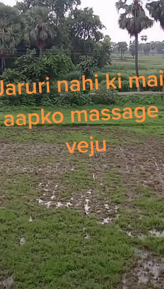 @Babita Kumari