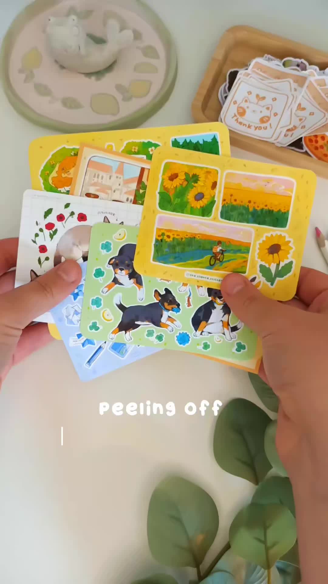 @Polina ⭐