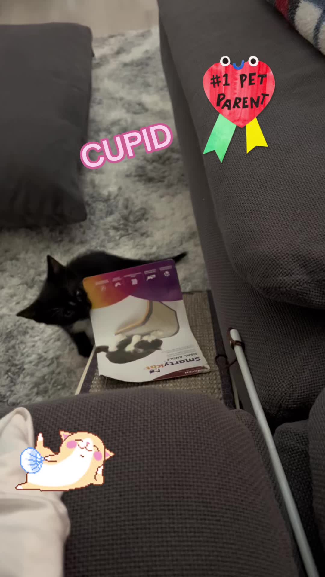 @Ryugyu Cat