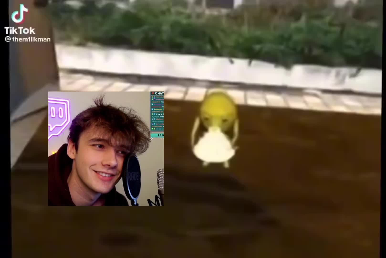 @ghastxghost
