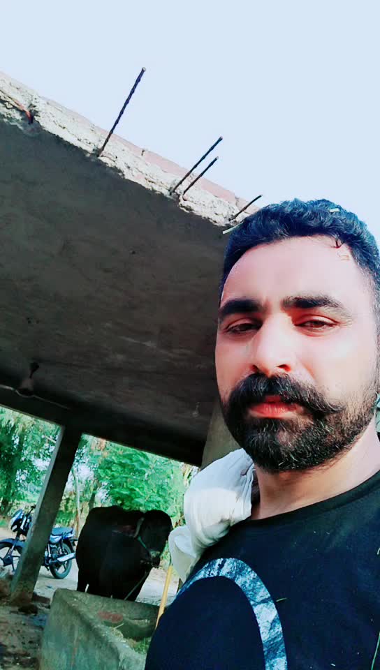 @harry sangha sab