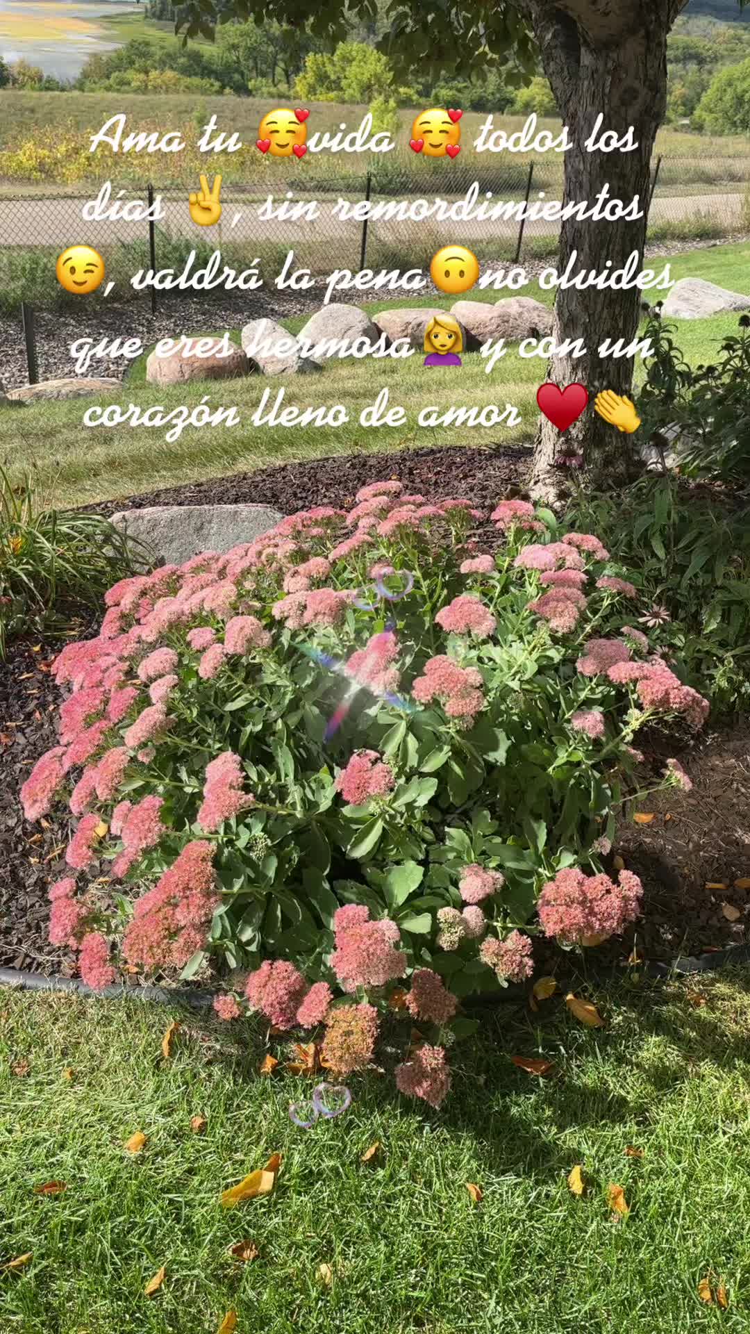 @🍂🍁🌻OTO&Ntilde;O 🌻🍂🍁