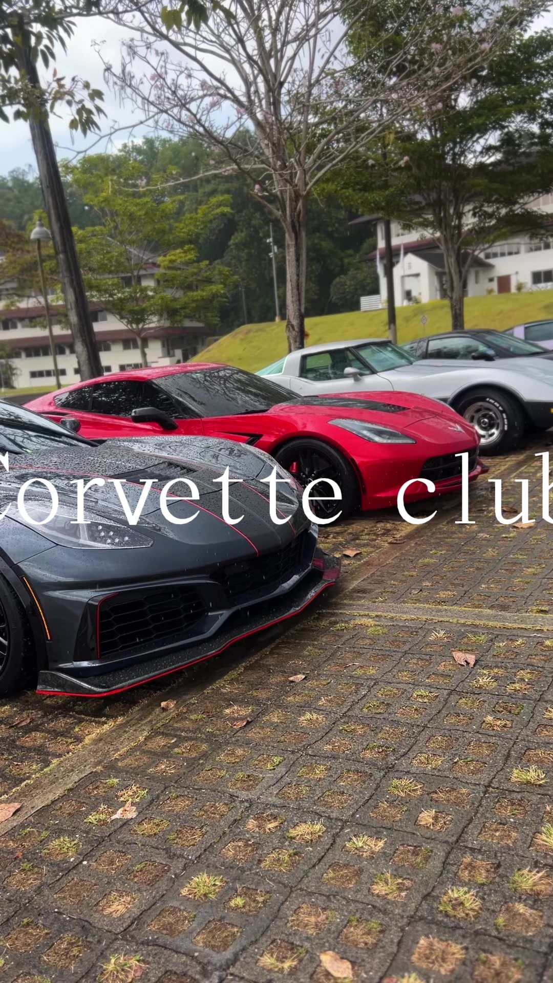 @Novelasracing
