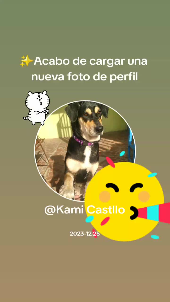 @Kami Castllo