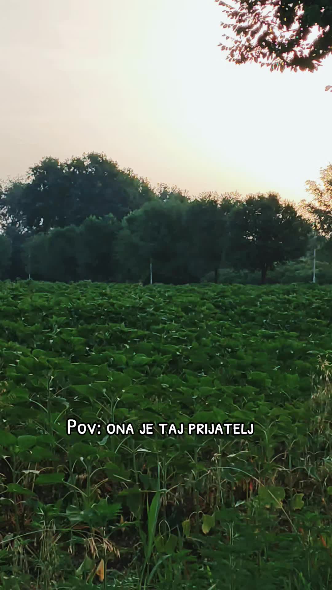 @Milica