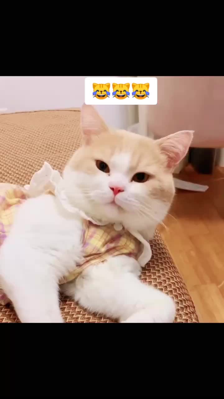 @user87357065893