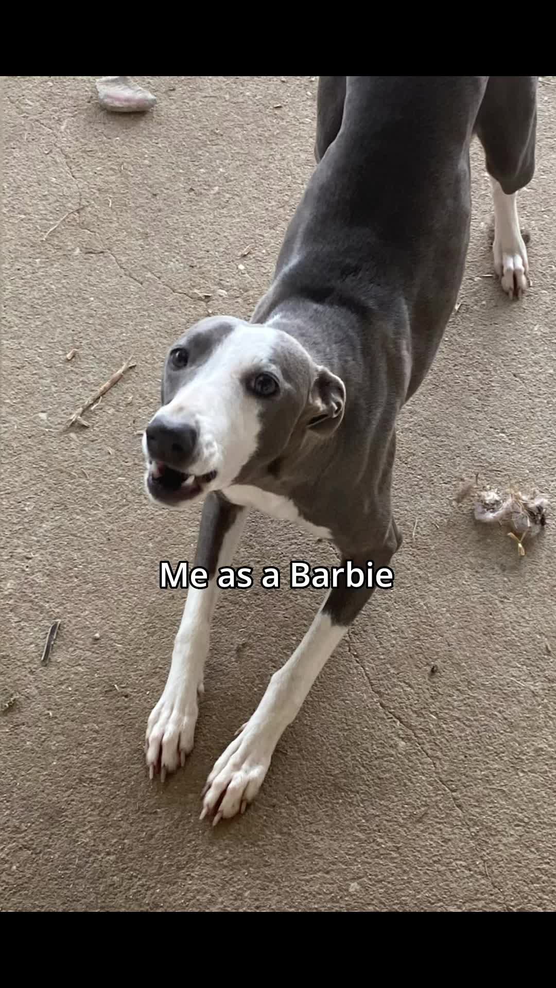 @Chimkinwings