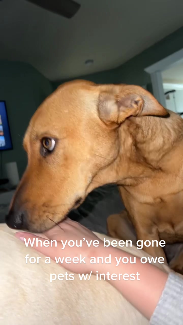 @Morgan